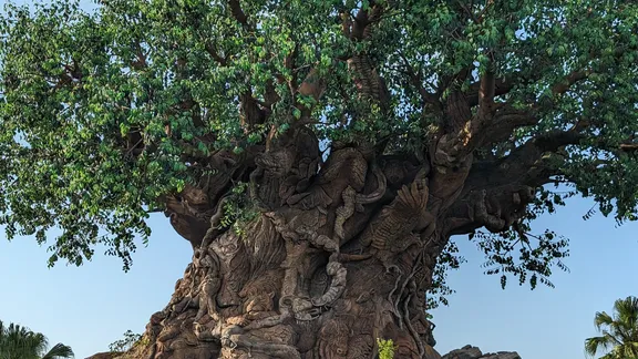 Massive tree with a broad leafy canopy and animal carvings sculpted into its textured trunk.