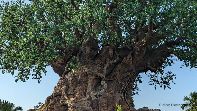 Massive tree with a broad leafy canopy and animal carvings sculpted into its textured trunk.