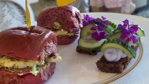 Open sandwiches and sliders with beetroot bread, cucumber, cream cheese and purple flowers on a plate.