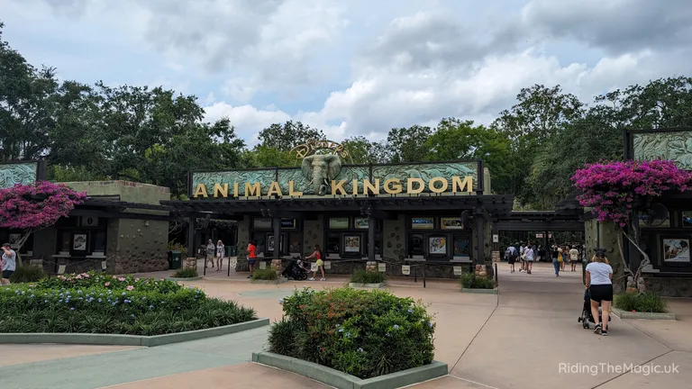 Entrance to Disney’s Animal Kingdom theme park, with the park name displayed above the gates.