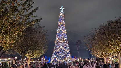 tall christmas tree multicoloured lights with angel on top trees either side dark sky