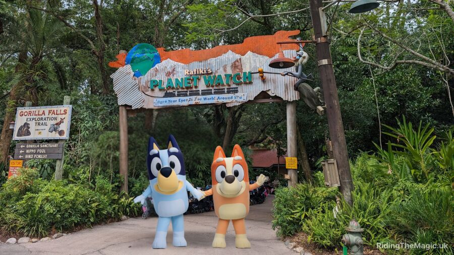 Two mascots standing in front of Rafiki's Planet Watch at Animal Kingdom