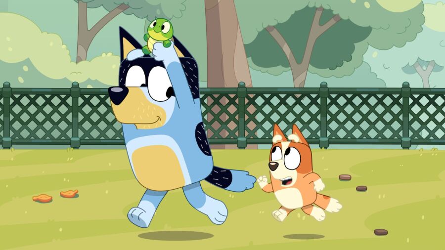 Blue dog and orange dog running in a park with a fence behind them