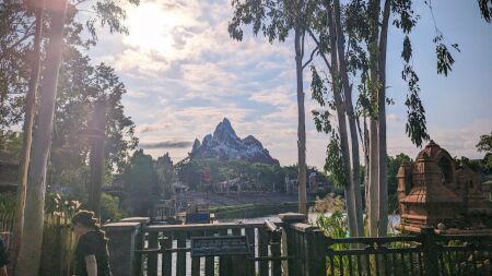 The Difference Between Rope Drop and Early Entry Explained