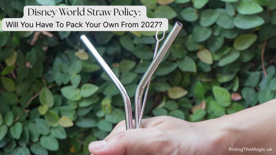 Disney World Straw Policy: Will You Have To Pack Your Own From 2027?