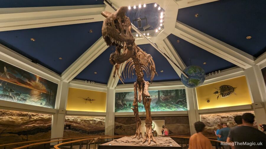 A T-Rex skeleton is displayed in a museum with a blue ceiling and large murals