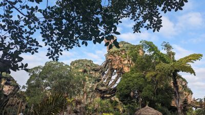 A view of Pandora- The World of Avatar at Disney World with trees and plants