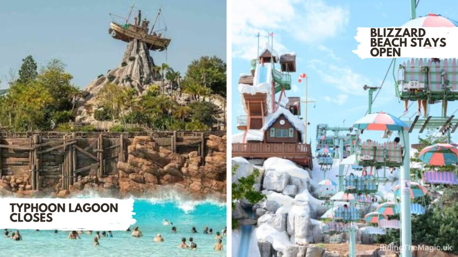 Blizzard Beach and Typhoon Lagoon at Disney World