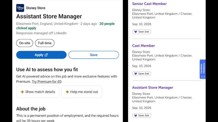 LinkedIn job application with AI-powered advice