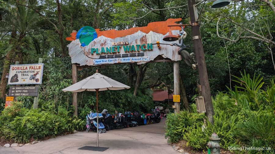 Entrance to Rafiki's Planet Watch at Animal Kingdom with strollers in the queue